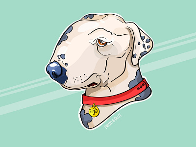 Save Ringo animal rights animals branding charity design dog dogs graphic design hand drawn illustration pets procreate vector
