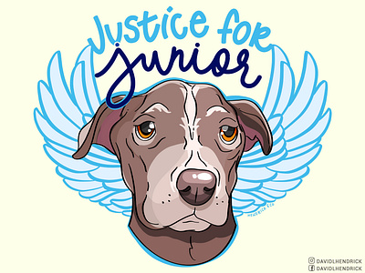 Justice For Junior