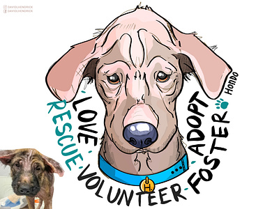 Rescue Words for Hondo adopt animal animals branding charity comic book custom artwork design dog dogs graphic design illustration logo nonprofit procreate puppy typography ui ux vector