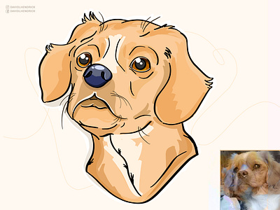 Save Damiana animal animal art animals branding charity comic book custom custom artwork custom drawing design dog dog art dogs graphic design illustration logo procreate puppy typography vector
