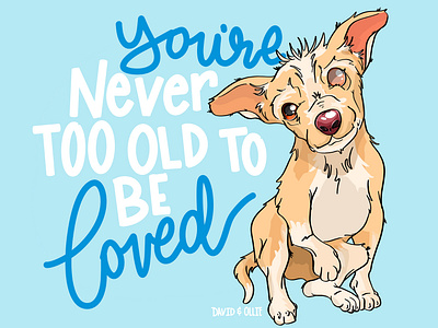 Never Too Old Be Loved
