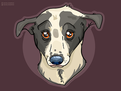 Soulfull eyes animal animal art animals apparel graphic branding charity comic book custom artwork custom drawing design dog dog art dogs graphic design illustration logo product artwork puppy tshirt artwork typography