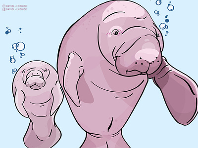 cute manatee drawing