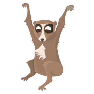 Slow Loris animal illustration vector