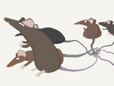 Rat King cryptozoology illustration rat king vector