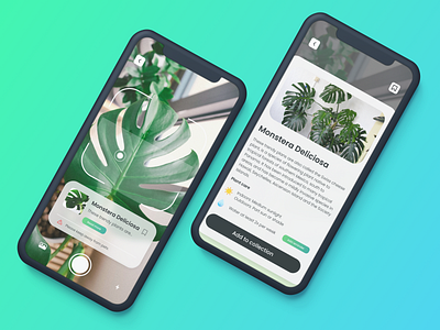 Plant Identifier App mobile plants sketch sketchapp ui