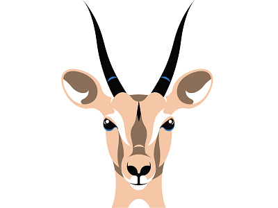 Antelope animal antelope deer elk portrait