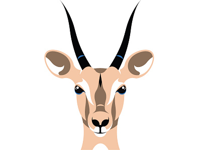 Antelope