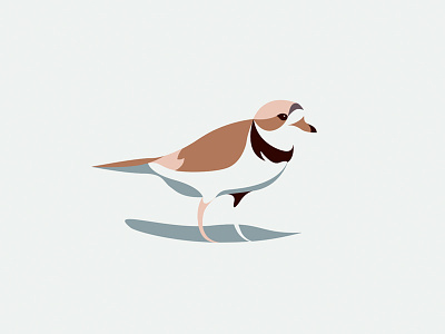 A Portrait of My Mother animal bird bird logo geometric minimal piping plover plover seabird
