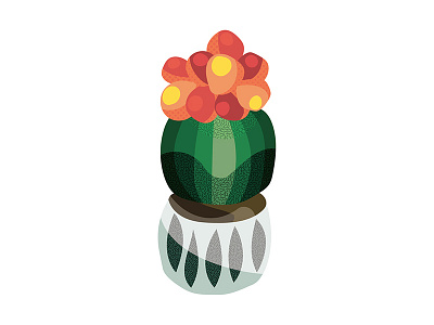 cactus cactus illustration plant vector