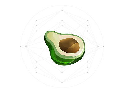 avocado avocado fruit illustration vector