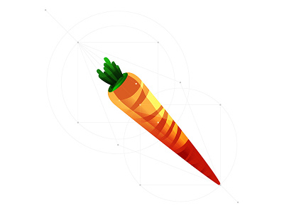 carrot carrot fruit illustration vector