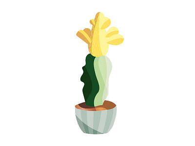 cactus cactus illustration plant vector