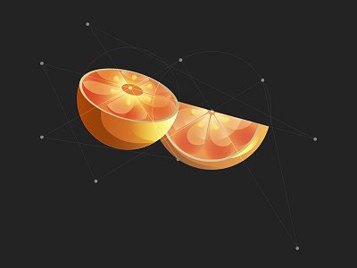 orange fruit illustration orange vector