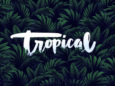 Tropical cartoon creative dark design flat gradient illustration illustrator leaf leaves lettering tropical tropical leaves typography vector vector illustration
