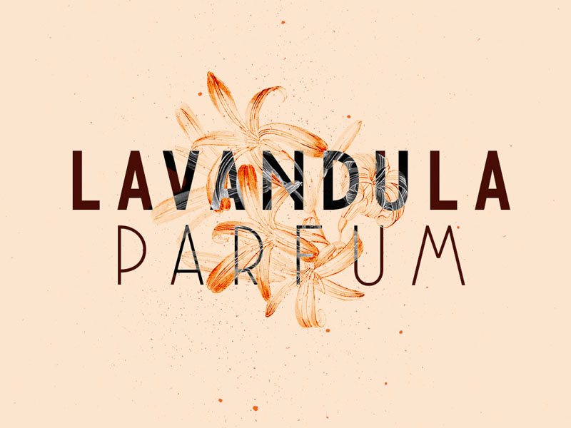 NovaDeco - Free Font typography typefamily typeface jonxavier mode gratuit font free fashion