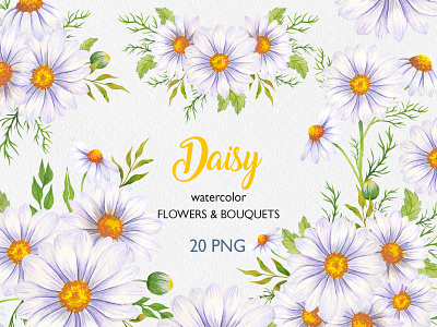 Daisy Watercolor Bouquets and Flowers