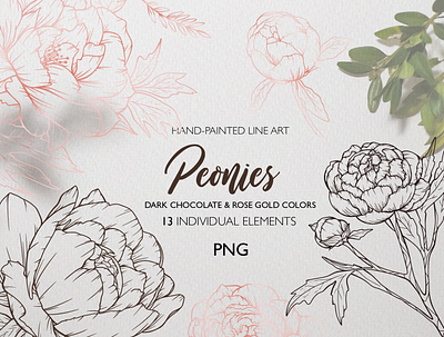 Peonies line Art. Fine Line flowers. Floral Line Art. fine art graphic fine art graphic