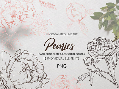 Peonies line Art. Fine Line flowers. Floral Line Art.