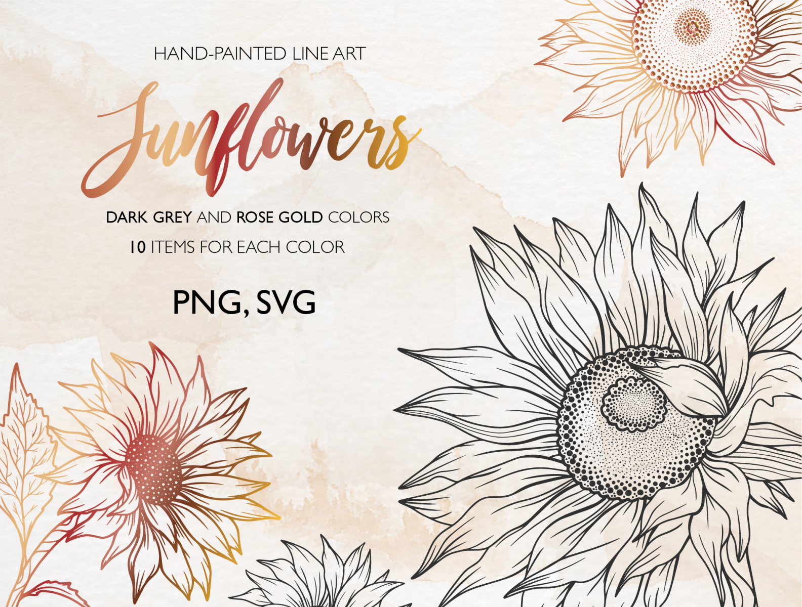 Sunflower Line Art, Sunflowers Fine Line by Xenia Caraulan on Dribbble