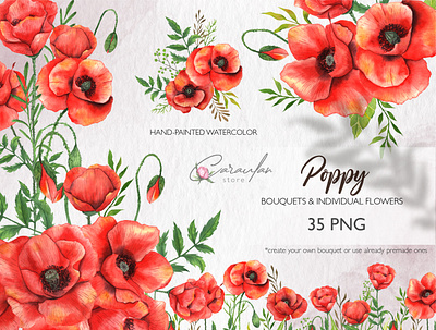 Watercolor Poppy Bouquets botanical floral watercolour illustration invitation clipart poppy illustration poppy watercolor