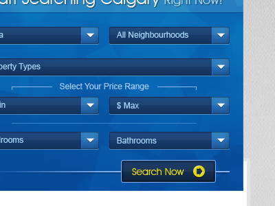 BlueForms blue buttons design drop down yellow form real estate redman tech ui website