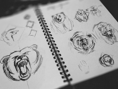 WIP Bear Prelim Sketches bear drawing ink logo prelim sketches
