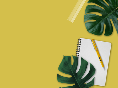Yellow Desk | Book, Plant, Ruler | Background