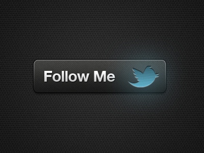Follow Me button gloss media social subtle texture twitter ui