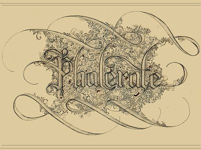 Dead Words: Phalerate blackletter calligraphy custom dead decorate detail handrendered intricate lettering old ornate pen pencil submission type typography vintage words