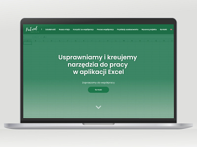 FixExcel.pl website webdesign dev branding typography web website
