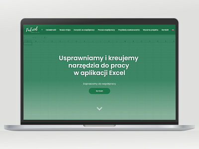 FixExcel.pl website webdesign dev