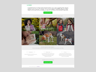 LeashAnchor temp site full page dogs product ui web design