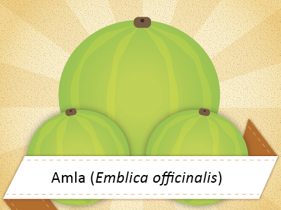 Ayurvedic Tip: Amla