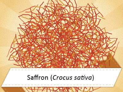 Ayurvedic Tip: Saffron supports mood ayurveda health herbs icons illustrations india medicine saffron