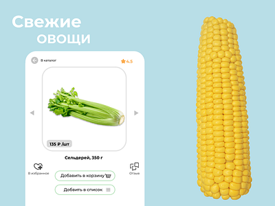 Mobile app Food Delivery mockup branding design icon illustration logo mockup ui ux vector