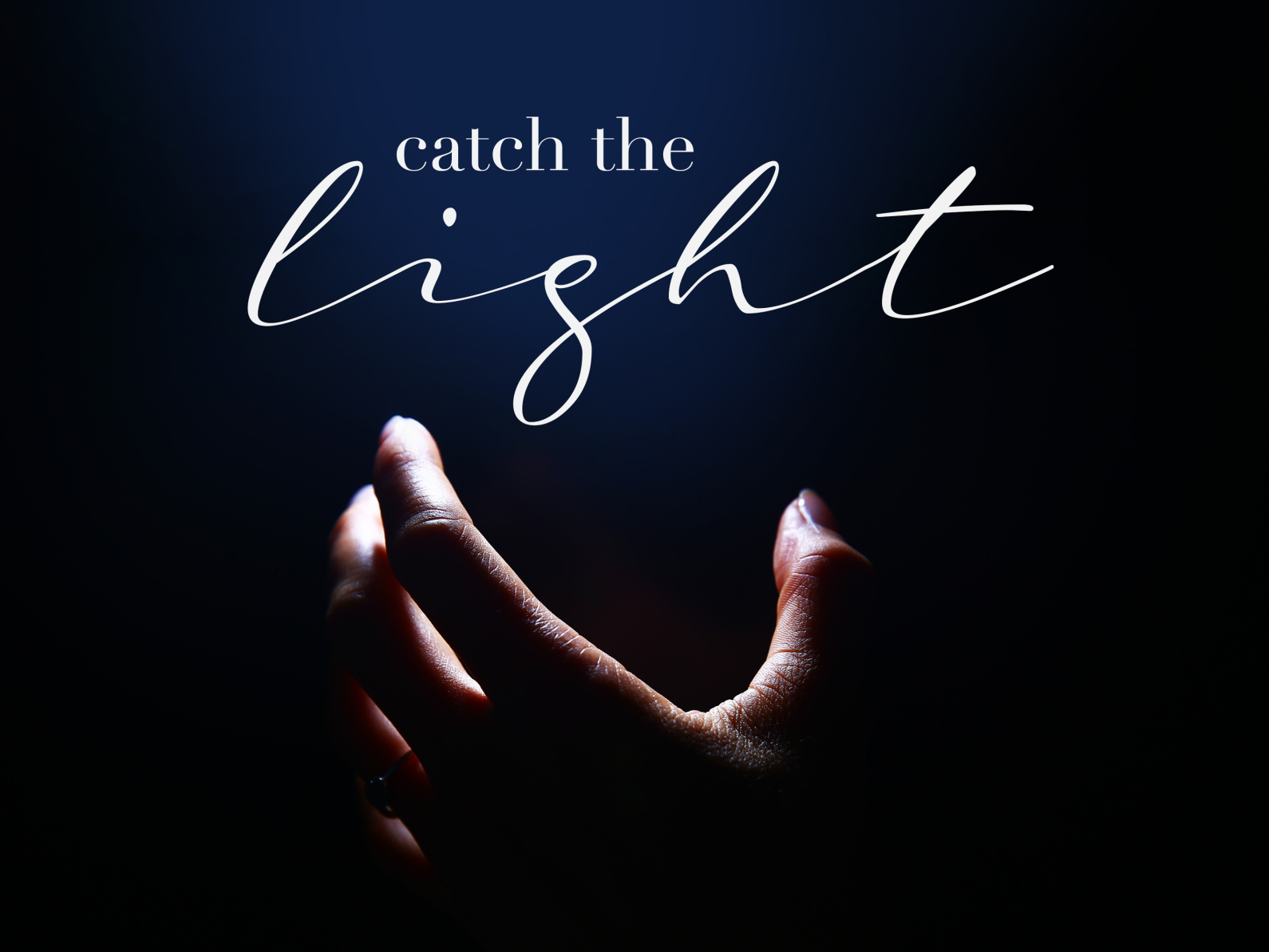 catch the light by Isabella Christiane EniglKräftner on Dribbble
