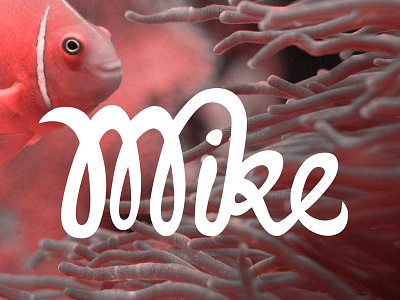Mike lettering nemo typography vector