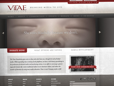 Vitae Foundation brand copywriting design ngo non profit website