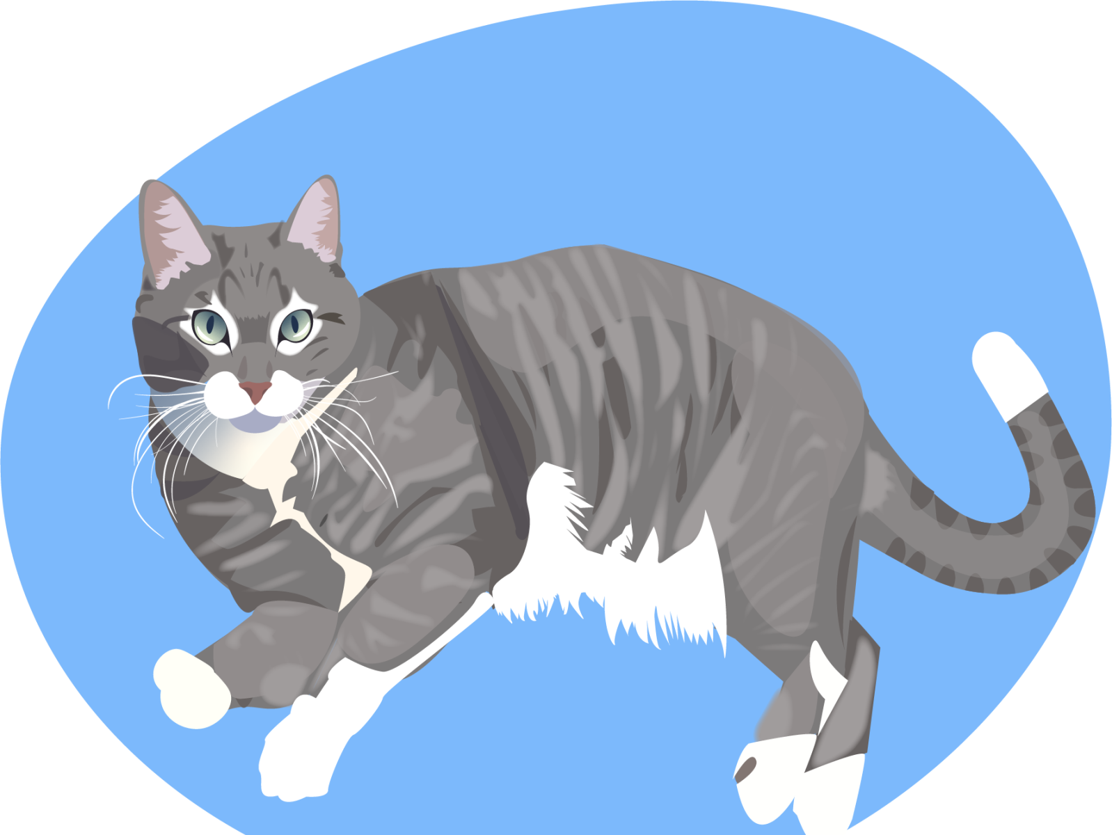 Flat cat image by Deedra Deremiens on Dribbble