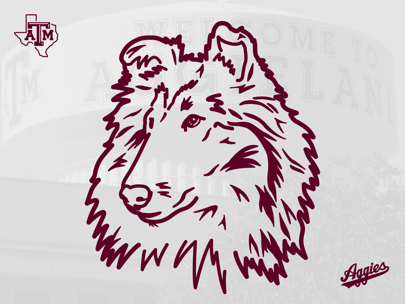 Miss Reveille, Texas A&M mascot by Kevin Spahn on Dribbble