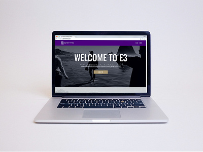 Element Three website design digital website