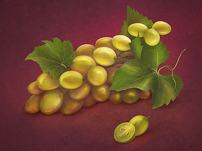 Grapes icon berries fruit game grapes icon illustration ui