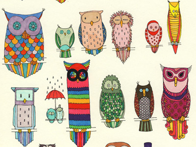 Owls illustration