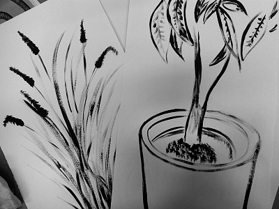 Planting blackwhite drawing ink plant sunday