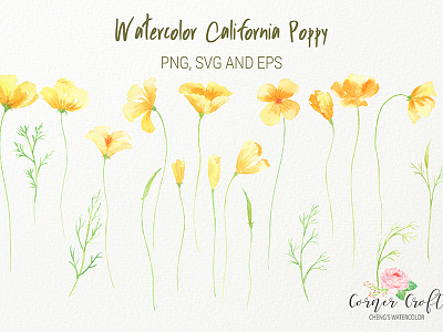 California Poppy Clipart PNG and Vector