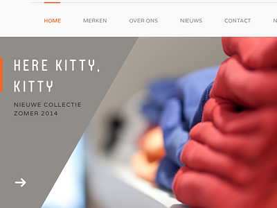 See what I did there? clean fashion flat kitty simple web design website