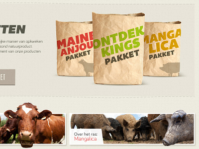 Donderij homepage bag bahamia banner bariol bemio cow homepage packaging pig webdesign website