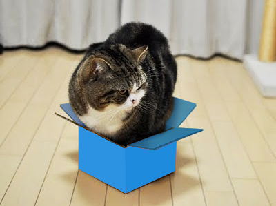 Maru loves Dropbox!