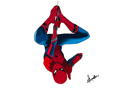 Spiderman Illustration graphic design illustration marvel spiderman